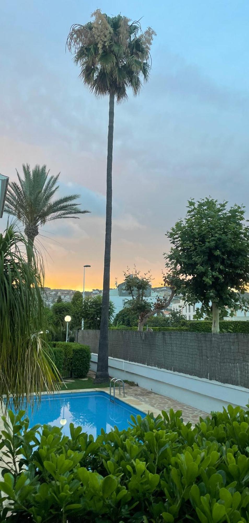 Apartament Casa Ole Jávea Zewnętrze zdjęcie